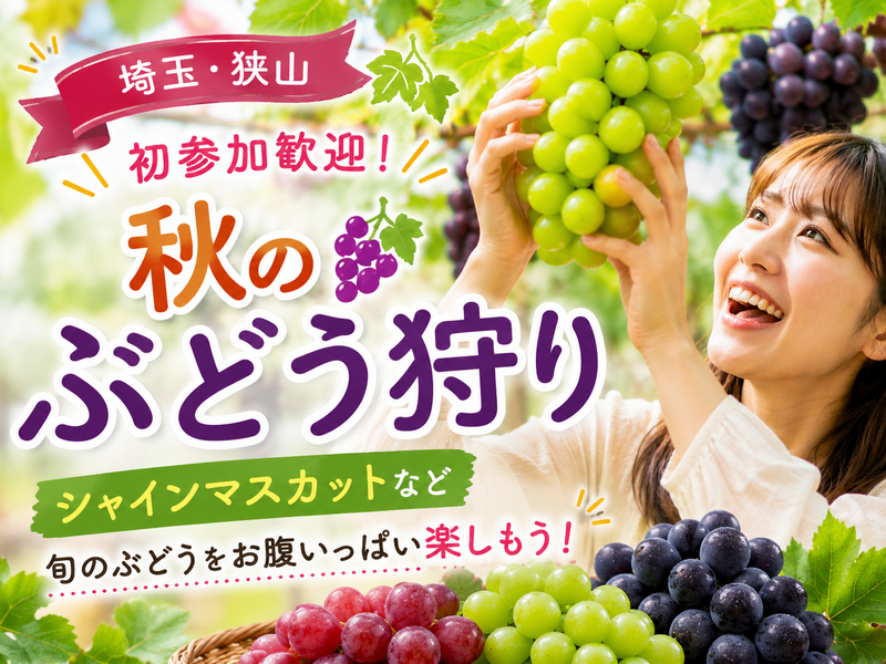 【埼玉・狭山】初参加歓迎！秋のぶどう狩り 🍇 シャインマスカットなど旬のぶどうをお腹いっぱい楽しもう！