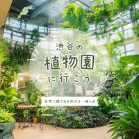 【8月11日(火)開催】渋谷の植物園に行こう🪴【20代限定✨】