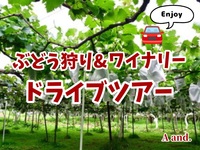 【彩り豊かな実りと余韻を贅沢に。ぶどう狩りとワイナリー巡り★ドライブツアー🚘️】