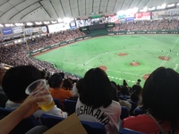 【女性主催🌸途中参加🆗】プロ野球観戦@東京ドーム⚾️🏟️✨（20代限定☀️）