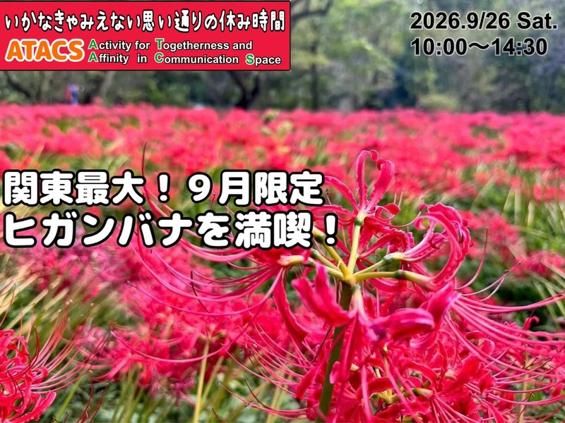 キレイな真紅の絨毯！９月限定 巾着田曼珠沙華まつりへ行こう