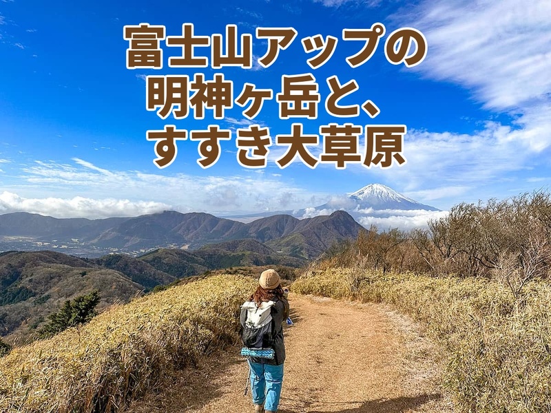 【たまトレ秋のオリジナル企画】正面に富士山アップ＋秋のすすき大草原と稜線歩き〜明神ヶ岳・火打石岳トレッキング〜