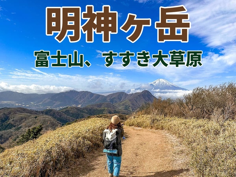 【たまトレ秋のオリジナル企画】正面に富士山アップ＋秋のすすき大草原と稜線歩き⭐️明神ヶ岳・火打石岳トレッキング〜