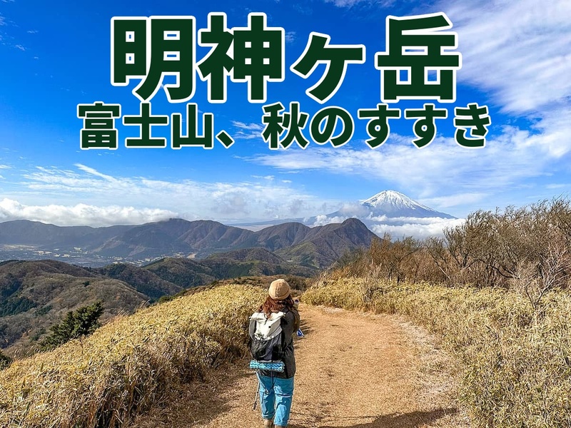 【たまトレ秋のオリジナル企画】正面に富士山アップ＋秋のすすき大草原と稜線歩き⭐️明神ヶ岳・火打石岳トレッキング〜
