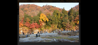 ☀️晴れの特異日☀️秋の🍂埼玉長瀞宝登山🏔️行こうと長瀞グルメ遠足ツアー✨