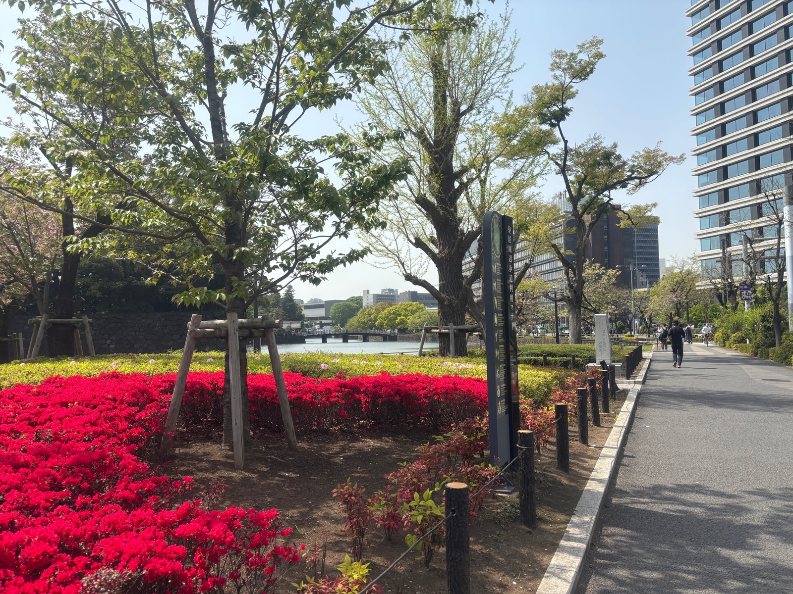 【女性主催】皇居1周🏃‍♀️朝活ランニング☀️〜早起きのきっかけ作り〜【20〜32歳】
