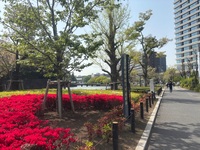 【女性主催・開催決定🙌】皇居1周🏃‍♀️朝活ランニング☀️〜早起きのきっかけ作り〜【20〜32歳】