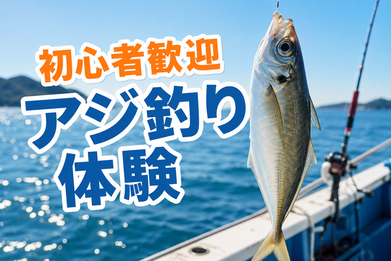 9/27【9/10締め切り/船釣体験】アジ釣り編！初心者歓迎の半日プラン🎣レンタル＆釣った魚はプロが調理付！
