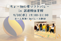 ちょー初心者ソフトバレー in 武道館体育館