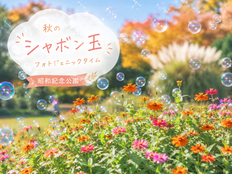 昭和記念公園で秋のシャボン玉フォトジェニックタイムを楽しもう！