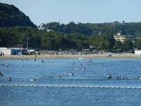 【海の公園柴口🌊】4時間限定！真夏を楽しむ海水浴体験イベント⏰おひとり様＆友達同士も大歓迎