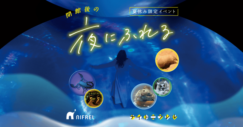 ニフレルで夜にふれる水族館行こう🐬