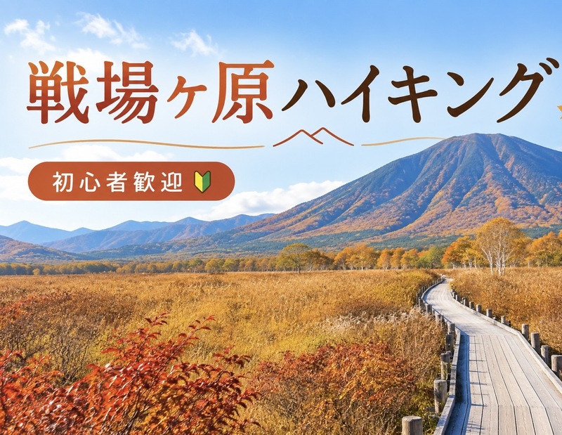 10/24【日光戦場ヶ原】思わず写真を撮りたくなる絶景スポットが多数📸🍂紅葉の季節に戦場ヶ原から湯元温泉へ♨️