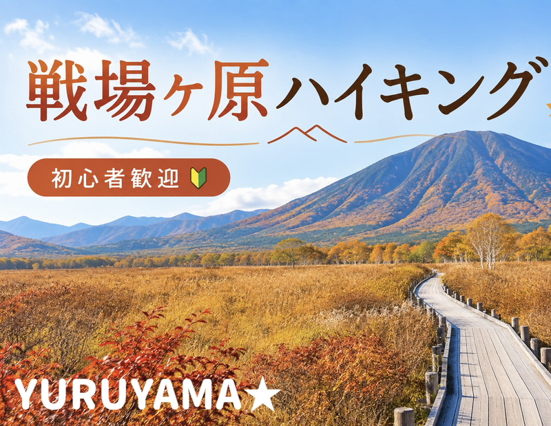 10/24【日光戦場ヶ原】思わず写真を撮りたくなる絶景スポットが多数📸🍂紅葉の季節に戦場ヶ原から湯元温泉へ♨️