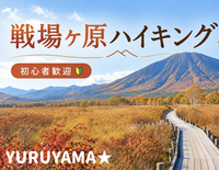 10/24【日光戦場ヶ原】思わず写真を撮りたくなる絶景スポットが多数📸🍂紅葉の季節に戦場ヶ原から湯元温泉へ♨️