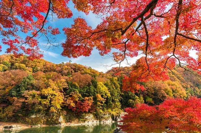 たまトレ🐣秋の特別厳選企画〜秋の長瀞の紅葉🍁を感じながら、宝登山と石畳お散歩♪