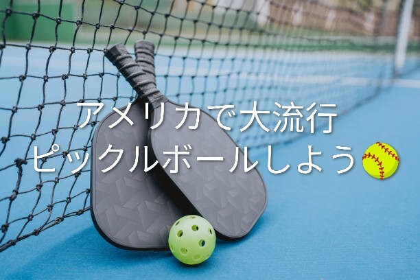 【9/11(金)亀戸開催】今話題のピックルボール体験会🥎初心者＆おひとり歓迎！