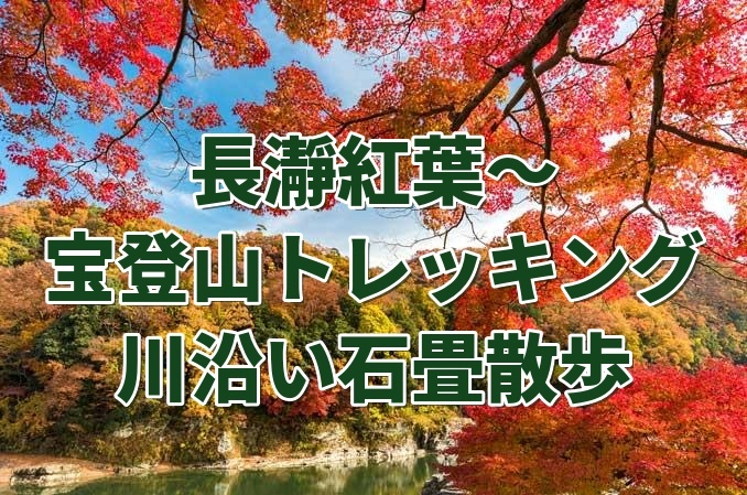 【11月22日日曜】たまトレ🐣秋の特別厳選企画〜秋の長瀞の紅葉🍁を感じながら、宝登山と石畳お散歩♪
