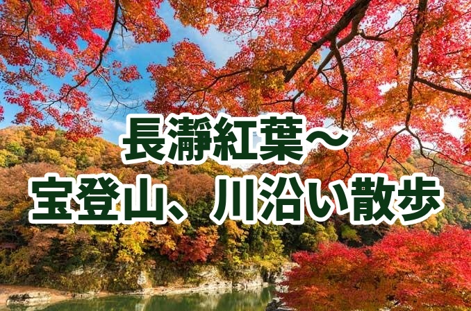 【11月22日日曜】たまトレ🐣秋の特別厳選企画〜秋の長瀞の紅葉🍁を感じながら、宝登山と石畳お散歩♪