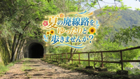 夏の廃線路をゆったりと歩きませんか？