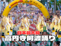 8/29高円寺阿波踊りを見に行って踊り・屋台などを堪能しよう