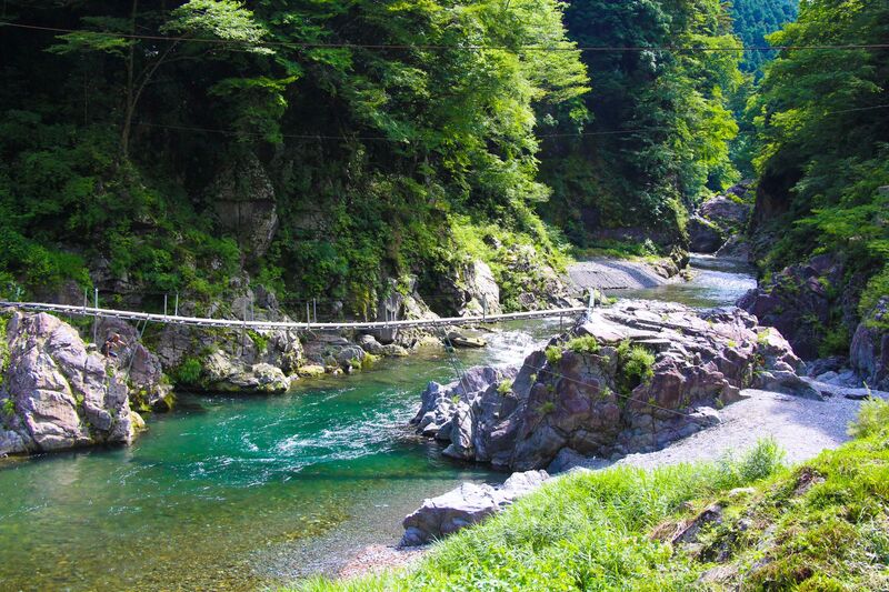 【🔰歓迎】奥多摩の大自然を堪能🌲✨鳩ノ巣渓谷&白丸ダムゆるハイキング【女性主催】