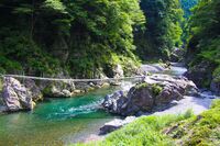 【🔰歓迎】奥多摩の大自然を堪能🌲✨鳩ノ巣渓谷&白丸ダムゆるハイキング【女性主催】