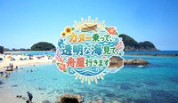 カヌー乗って、透明な海見て、舟屋行きます
