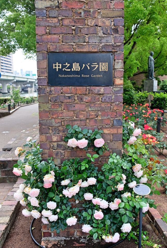 【8/30(日)開催】中之島バラ園🌹ウォーキング！