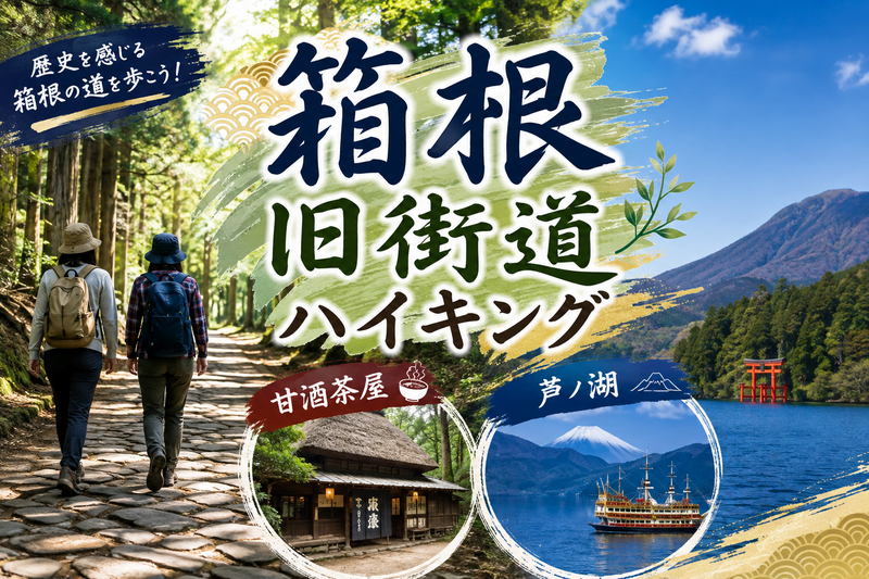 【箱根旧街道を歩こう】歴史と箱根の自然を満喫する一日🌿✨＆温泉でほっこり♨️