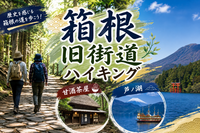 【箱根旧街道を歩こう】歴史と箱根の自然を満喫する一日🌿✨＆温泉でほっこり♨️