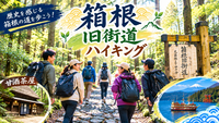 【箱根旧街道を歩こう】歴史と箱根の自然を満喫する一日🌿✨＆温泉でほっこり♨️
