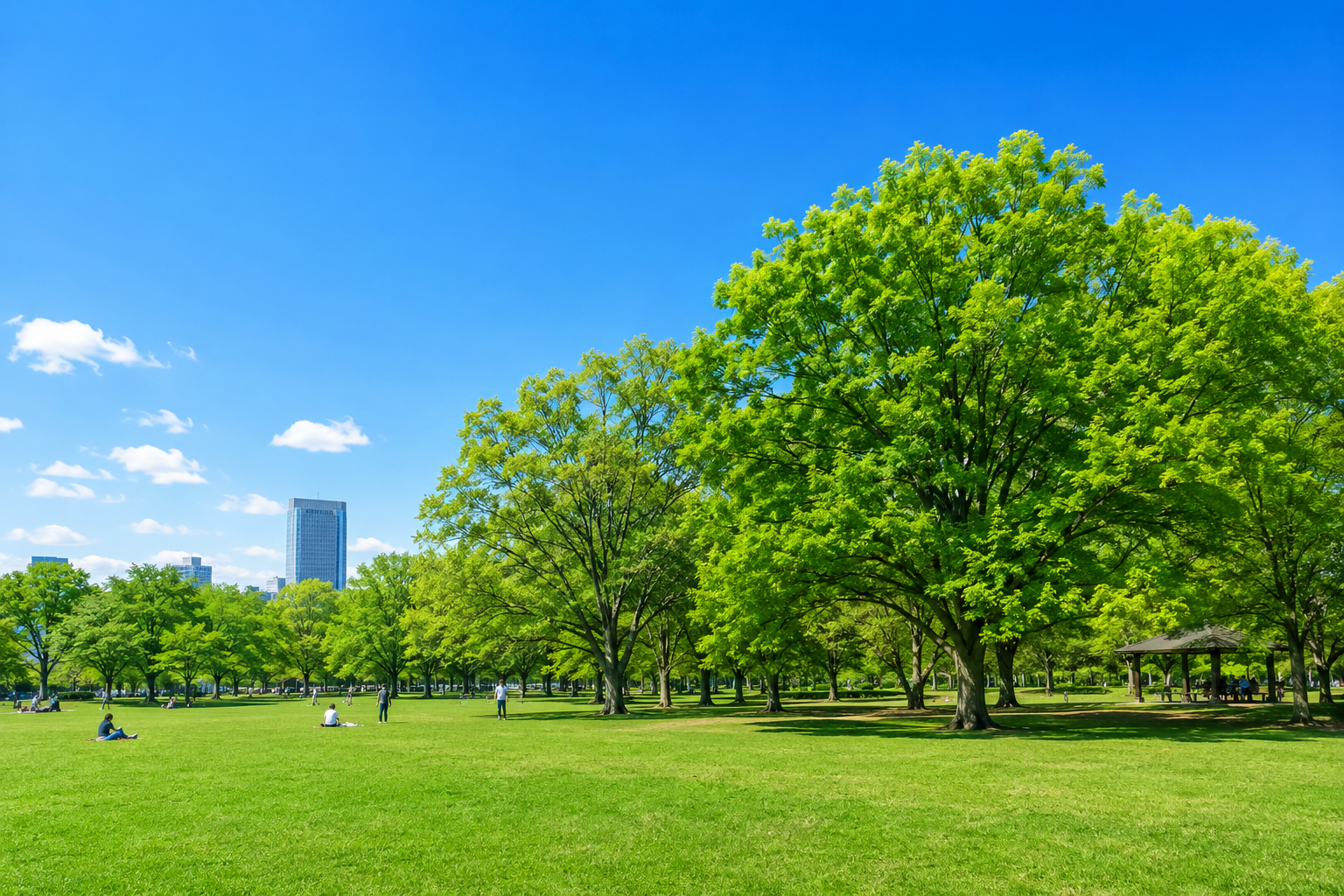 🌿 代々木公園でゆるピクニック＆軽く遊ぶ会｜一人参加・人見知り歓迎！