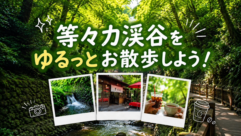 【20代30代限定】等々力渓谷をゆるっとお散歩しよう！📸🍵