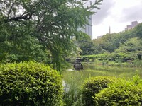 🚶🏻【日比谷公園】朝さんぽ と カフェトーク