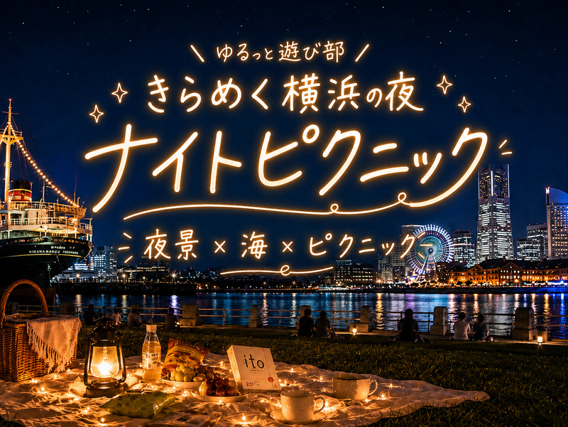 女性主催🌼【✨きらめく横浜の夜🌙山下公園ナイトピクニック🧺】1人参加＆初参加も安心🌸