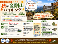 【20代・30代限定】秋の金剛山ハイキング🍂⛰️