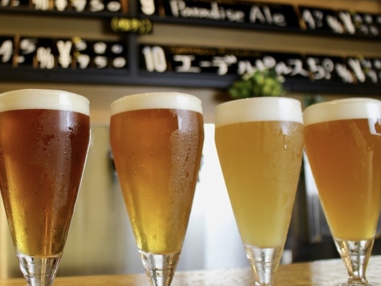 【🍻ビール会🍻】ビール工房でクラフトビール飲み放題🍻🎆✨