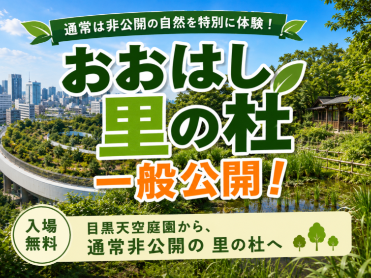 通常非公開の目黒おおはし里の杜の一般公開にいきませんか？