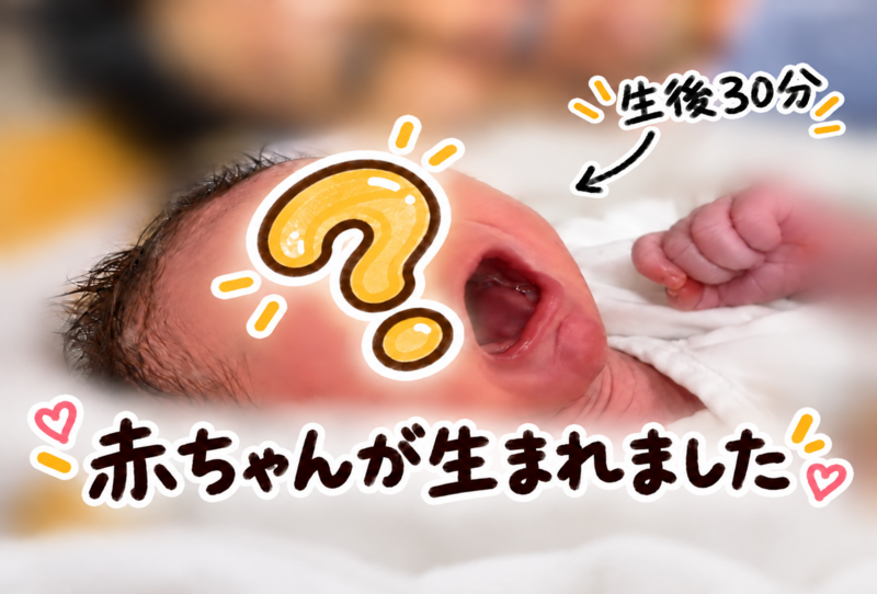 【4周年】Q&A、作業裏側、トラブル、統計など普段話さないことをいろいろ紹介します