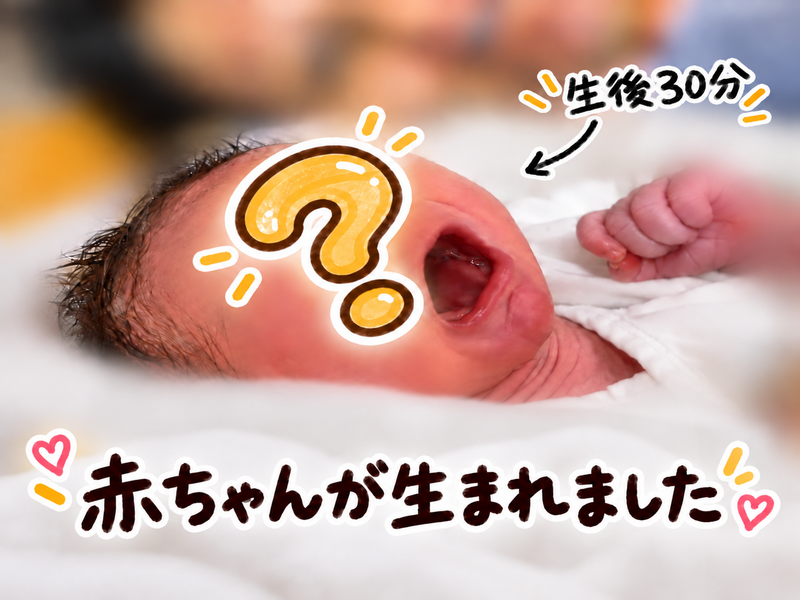 赤ちゃんも登場【4周年】Q&A、作業裏側、トラブル、統計など普段話さないこと話します