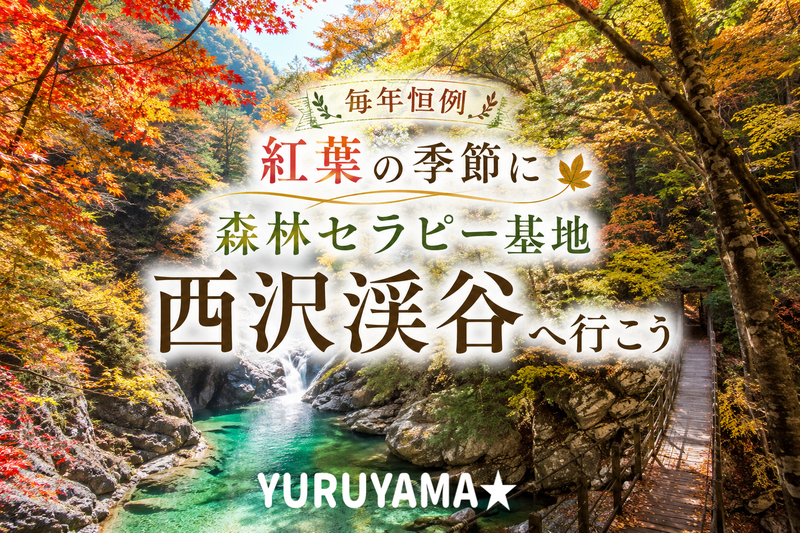 11/2 【西沢渓谷】紅葉の七ツ釜五段の滝へ！森林セラピー基地ハイキング！エメラルドグリーンの水に癒されよう！