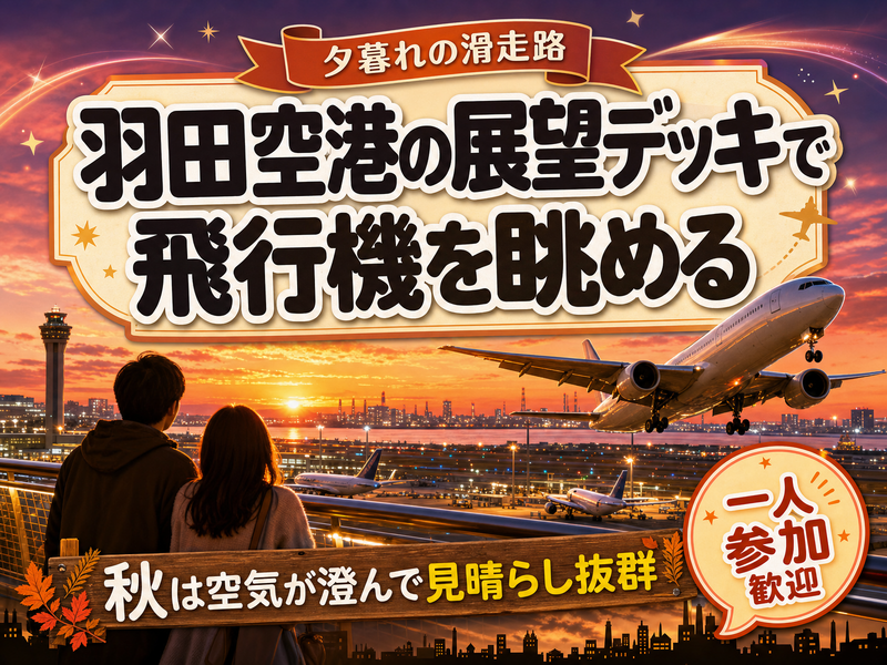 【夕暮れの滑走路】羽田空港の展望デッキで飛行機を眺める✈秋は空気が澄んで見晴らし抜群