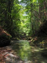 【非日常体験】きれいな川の流れる場所で焚火とシーシャ【野外デイキャンプ】