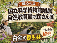【都心の森】国立科学博物館附属自然教育園で森さんぽ🌳白金の原生林