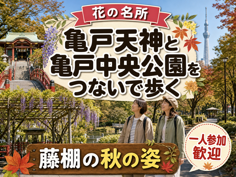 【花の名所】亀戸天神と亀戸中央公園をつないで歩く🌳藤棚の秋の姿