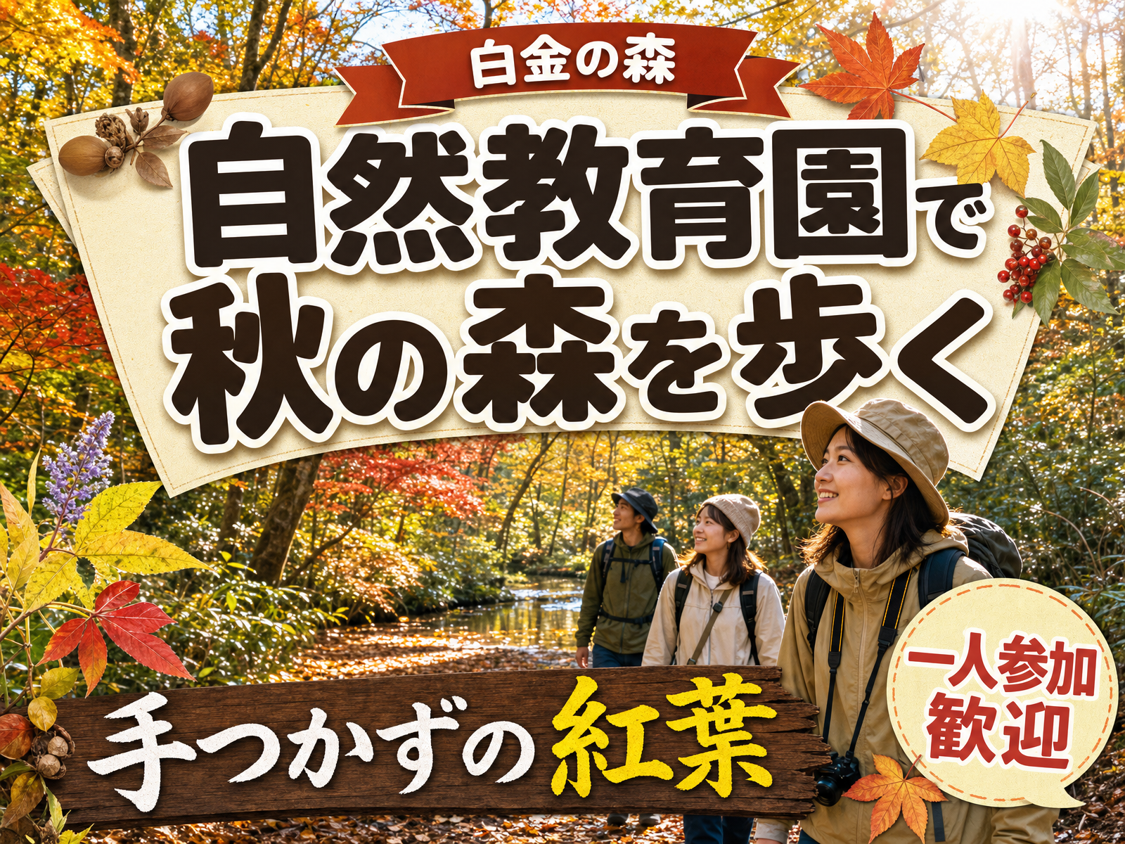 【白金の森】自然教育園で秋の森を歩く🍁手つかずの紅葉