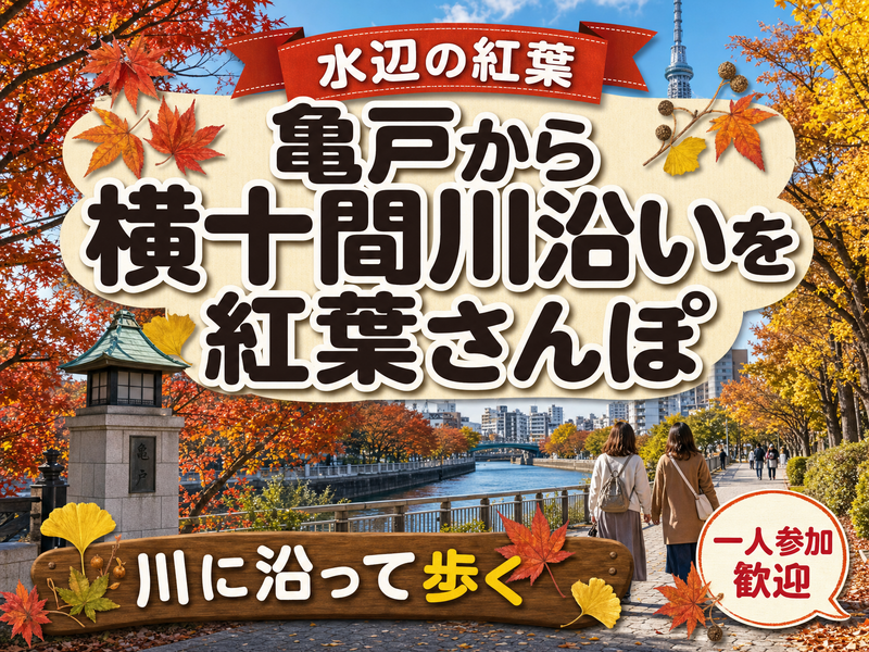 【水辺の紅葉】亀戸から横十間川沿いを紅葉さんぽ🍁川に沿って歩く