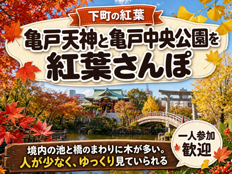 【下町の紅葉】亀戸天神と亀戸中央公園を紅葉さんぽ🍁