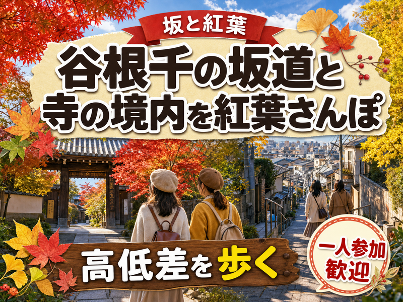 【坂と紅葉】谷根千の坂道と寺の境内を紅葉さんぽ🍁高低差を歩く